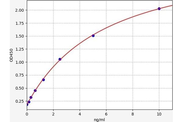 Tropomyosin 4 ELISA Kit