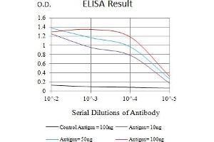 Black line: Control Antigen (100 ng),Purple line: Antigen (10 ng), Blue line: Antigen (50 ng), Red line:Antigen (100 ng) (IL10RB antibody  (AA 20-220))