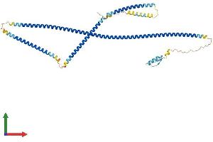 Protein Structure (PS) image for Centrosomal Protein 55kDa (CEP55) (AA 1-462) protein (His tag) (ABIN7558865)