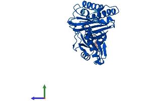 AlphaFold protein structure predicition of Mouse Recombinant Impa2 Protein, UniprotID Q91UZ5