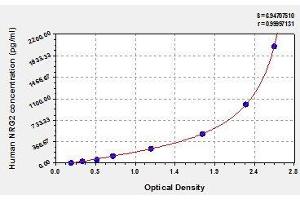 Neuregulin 2 ELISA Kit