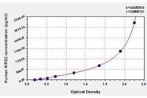 Typical standard curve (Neuregulin 2 ELISA Kit)