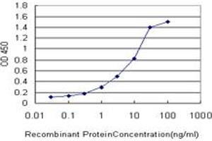 Detection limit for recombinant GST tagged FBXO8 is approximately 0. (FBXO8 antibody  (AA 1-77))