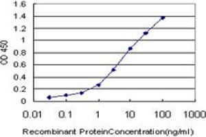 Detection limit for recombinant GST tagged ELF3 is approximately 0. (ELF3 antibody  (AA 262-371))
