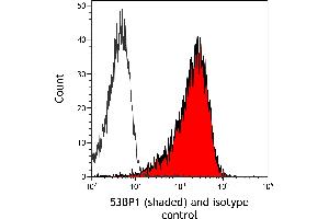Flow Cytometry (FACS) image for anti-Tumor Protein P53 Binding Protein 1 (TP53BP1) (AA 350-400) antibody (ABIN7455070) (Recombinant TP53BP1 antibody  (AA 350-400))