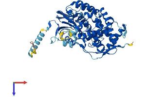 AlphaFold protein structure predicition of Mouse Recombinant Cyp7b1 Protein, UniprotID Q60991 (CYP7B1 Protein (AA 1-507) (His tag))