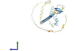 AlphaFold protein structure predicition of Human Recombinant CBY3 Protein, UniprotID A6NI87 (CBY3 Protein (AA 1-242) (His tag))