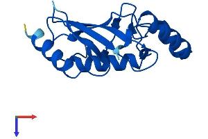 Protein Structure (PS) image for Ubiquitin-Conjugating Enzyme E2L 6 (UBE2L6) (AA 1-153) protein (His tag) (ABIN7544895)