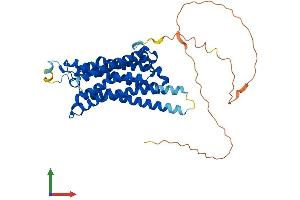 Protein Structure (PS) image for Adenosine A2a Receptor (ADORA2A) (AA 1-410) protein (His tag) (ABIN7557580)