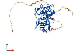 Protein Structure (PS) image for Proto-Oncogene Pim-2 (Serine Threonine Kinase) (PIM2) (AA 1-370) protein (His tag) (ABIN7563939)