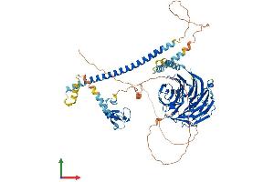 AlphaFold protein structure predicition of Mouse Recombinant Cop1 Protein, UniprotID Q9R1A8 (RFWD2 Protein (AA 1-733) (His tag))