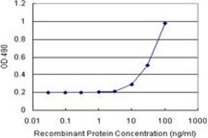 Sandwich ELISA detection sensitivity ranging from 10 ng/mL to 100 ng/mL. (SGCG (Human) Matched Antibody Pair)