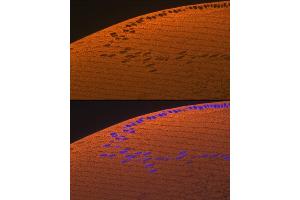 Immunofluorescence analysis of rat eye using CRYAA Rabbit mAb (ABIN7266527) at dilution of 1:100 (40x lens). (CRYAA antibody)