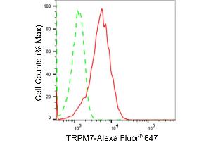 Flow cytometric analysis of TRPM7 expression in HepG2 cells using TRPM7 antibody (ABIN7800608), 1:2,000).