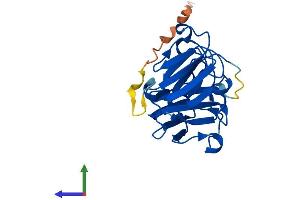 Protein Structure (PS) image for Crystallin, beta A1 (CRYBA1) (AA 1-215) protein (His tag) (ABIN7546746)