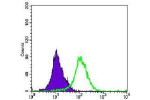Flow cytometric analysis of K562 cells using MAP2K4 mouse mAb (green) and negative control (purple). (MAP2K4 antibody)