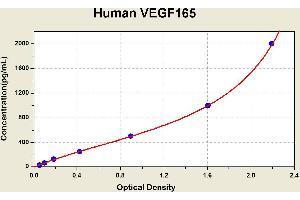 Diagramm of the ELISA kit to detect Human VEGF165with the optical density on the x-axis and the concentration on the y-axis. (VEGF 165 ELISA Kit)
