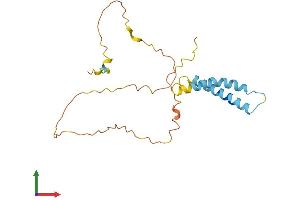 AlphaFold protein structure predicition of Mouse Recombinant Tmem134 Protein, UniprotID Q8R0J4