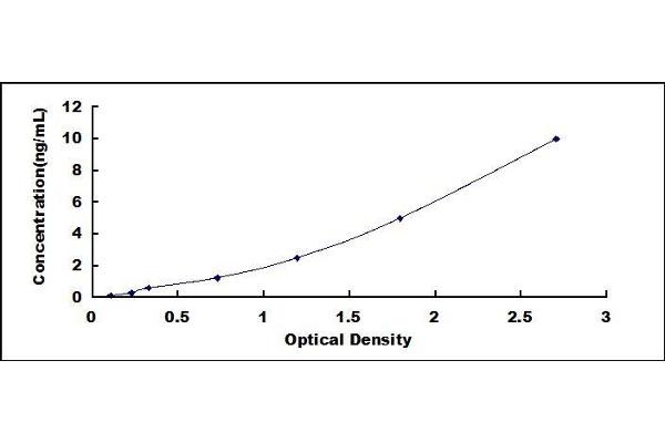 WNT7B ELISA Kit