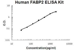 Human FABP2/I-FABP PicoKine ELISA Kit standard curve