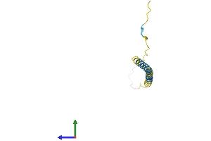 AlphaFold protein structure predicition of Human Recombinant SMIM21 Protein, UniprotID Q3B7S5