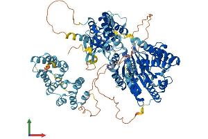 AlphaFold protein structure predicition of Human Recombinant IFIH1 Protein, UniprotID Q9BYX4
