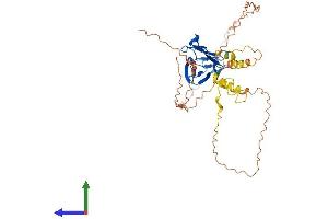 Protein Structure (PS) image for Intermediate Filament Tail Domain Containing 1 (IFLTD1) (AA 1-388) protein (His tag) (ABIN7549049)