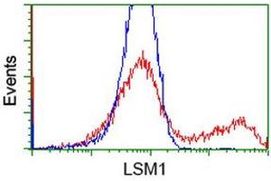 Flow Cytometry (FACS) image for anti-LSM1 Homolog, U6 Small Nuclear RNA Associated (LSM1) (AA 1-133) antibody (ABIN1490575) (LSM1 antibody  (AA 1-133))