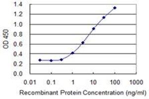 Detection limit for recombinant GST tagged BNC1 is 0. (Basonuclin 1 antibody  (AA 599-705))