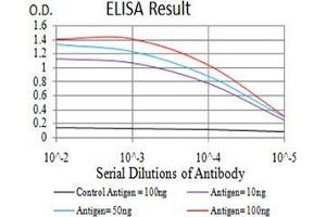 Black line: Control Antigen (100 ng);Purple line: Antigen (10ng); Blue line: Antigen (50 ng); Red line:Antigen (100 ng) (AFAP1L2 antibody  (AA 674-818))