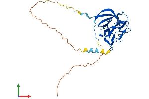 Protein Structure (PS) image for Fibroblast Growth Factor 12 (FGF12) (AA 1-243) protein (His tag) (ABIN7547568)