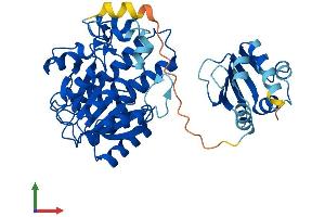 AlphaFold protein structure predicition of Human Recombinant HSDL2 Protein, UniprotID Q6YN16