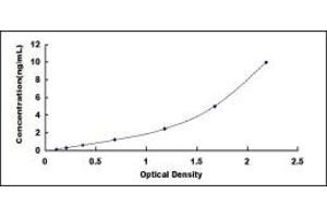 Typical standard curve (FTH1 ELISA Kit)