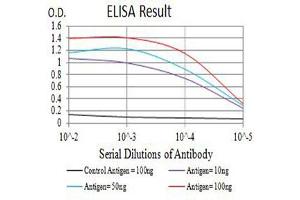 Black line: Control Antigen (100 ng),Purple line: Antigen (10 ng), Blue line: Antigen (50 ng), Red line:Antigen (100 ng) (TNFRSF13C antibody  (AA 1-78))