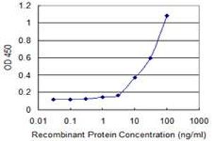 Detection limit for recombinant GST tagged KLK13 is 1 ng/ml as a capture antibody.