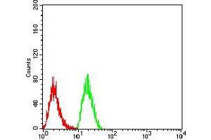 Flow cytometric analysis of Hela cells using TTF1 mouse mAb (green) and negative control (red). (TTF1 antibody  (AA 1-150))