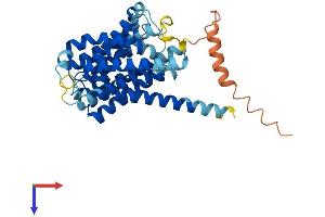 Ovarian Cancer Overexpressed 1 (OVCOV1) (AA 1-365) protein (His tag)