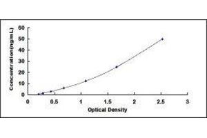 Typical standard curve (HSP27 ELISA Kit)