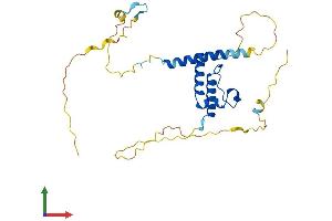 AlphaFold protein structure predicition of Human Recombinant SLBP Protein, UniprotID Q14493