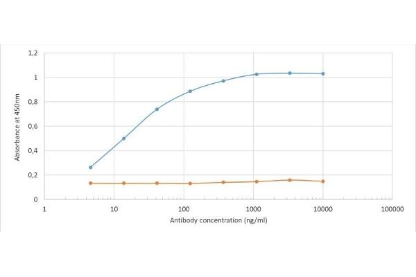 Recombinant D-Dimer antibody