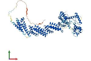 AlphaFold protein structure predicition of Human Recombinant CUL4A Protein, UniprotID Q13619 (Cullin 4A Protein (CUL4A) (AA 1-759) (His tag))