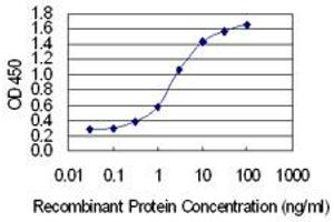 Detection limit for recombinant GST tagged COL5A2 is 0. (COL5A2 antibody  (AA 41-124))
