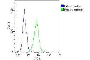 Overlay histogram showing A431 cells stained with (ABIN654644 and ABIN2844340) (green line). (IL12_2 (AA 756-783), (C-Term) antibody)