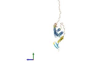 AlphaFold protein structure predicition of Human Recombinant MS4A10 Protein, UniprotID Q96PG2 (MS4A12 Protein (AA 1-267) (His tag))