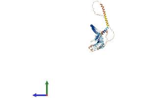 AlphaFold protein structure predicition of Human Recombinant LRRIQ3 Protein, UniprotID A6PVS8 (LRRIQ3 Protein (AA 1-624) (His tag))