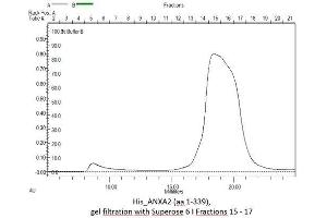 Size-exclusion chromatography-High Pressure Liquid Chromatography (SEC-HPLC) image for Annexin A2 (ANXA2) (AA 2-339) protein (His tag) (ABIN3088981) (Annexin A2 Protein (ANXA2) (AA 2-339) (His tag))