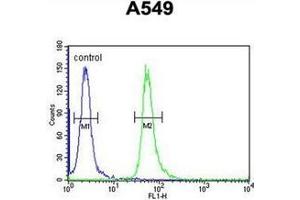 Flow cytometric analysis of A549 cells using GNAT3 Antibody (Center) Cat. (GNAT3 antibody  (Middle Region))