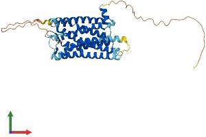 Protein Structure (PS) image for Somatostatin Receptor 5 (SSTR5) (AA 1-364) protein (His tag) (ABIN7546318)
