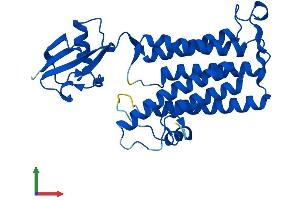 AlphaFold protein structure predicition of Mouse Recombinant Tecr Protein, UniprotID Q9CY27