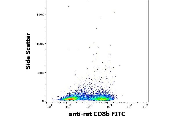 CD8B antibody  (FITC)